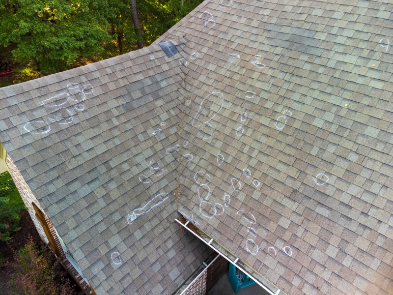 Asphalt Roof Inspection in Black Hawk, CO