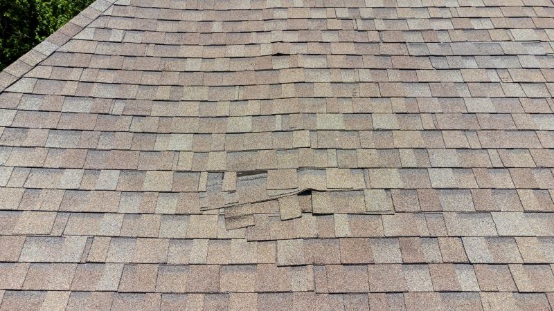 Asphalt Roof Inspection in Golden, CO