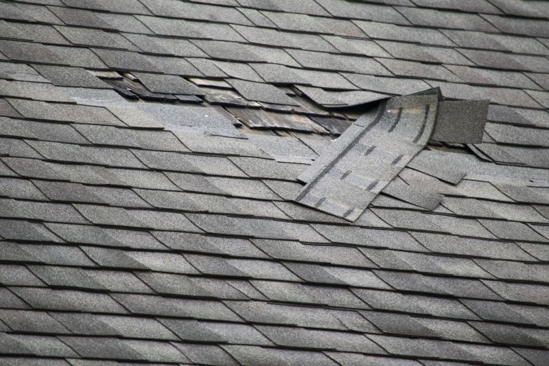 Asphalt Roof Repair in Denver, CO