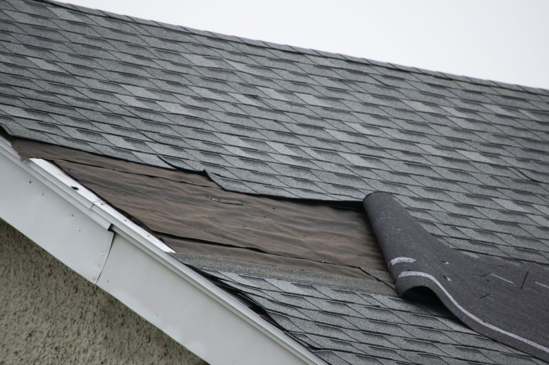 Asphalt Shingles Repair in Denver, CO