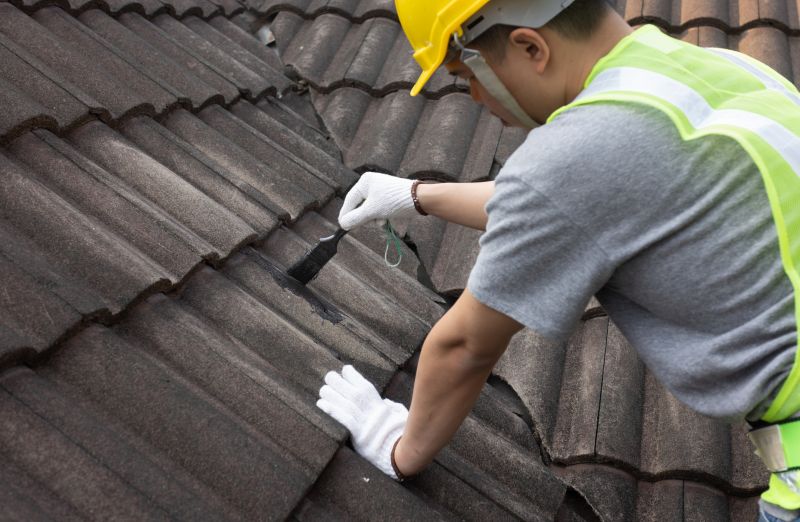 Bedroom Leak Repair in Lafayette, CO