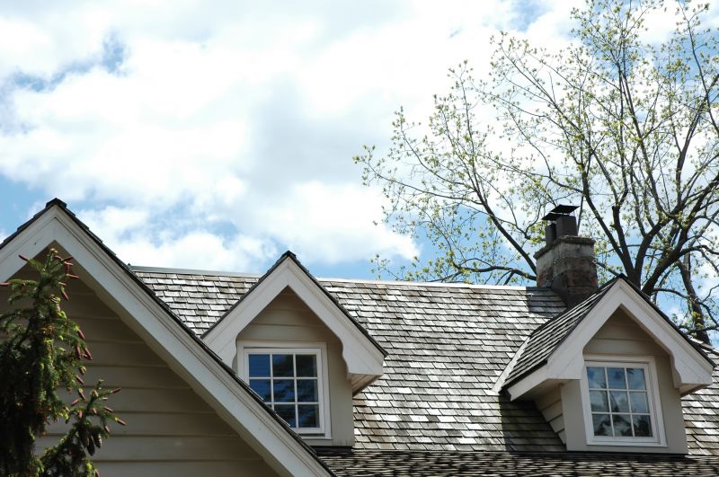 Cedar Roof Replacement in Nederland, CO