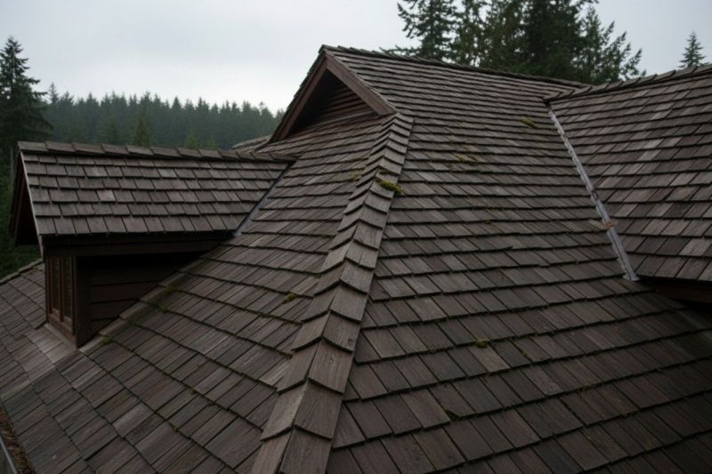 Cedar Shake Roof Replacement in Lafayette, CO