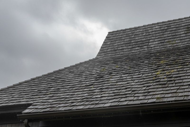 Cedar Shingles Replacement in Louisville, CO