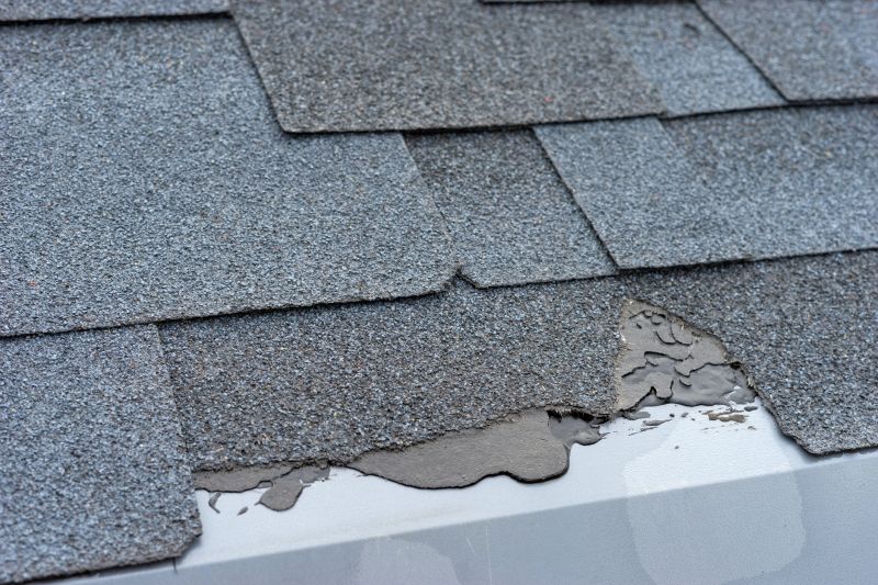 Damaged Roof Repair in Adams County, CO