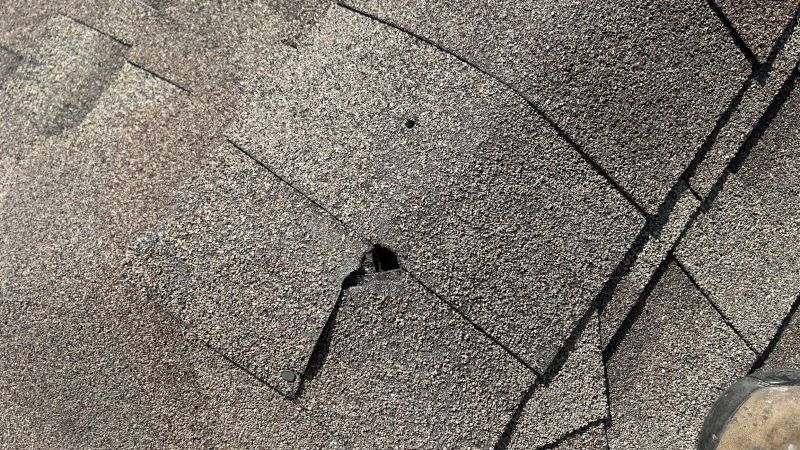 Damaged Roof Repair in Erie, CO