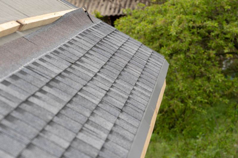 Damaged Roof Repair in Longmont, CO
