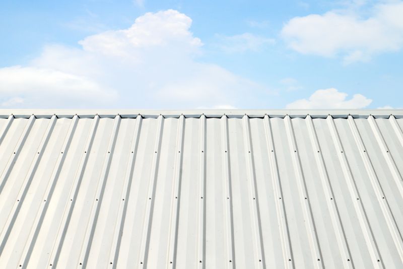 Metal Roof Coating Service in Lafayette, CO