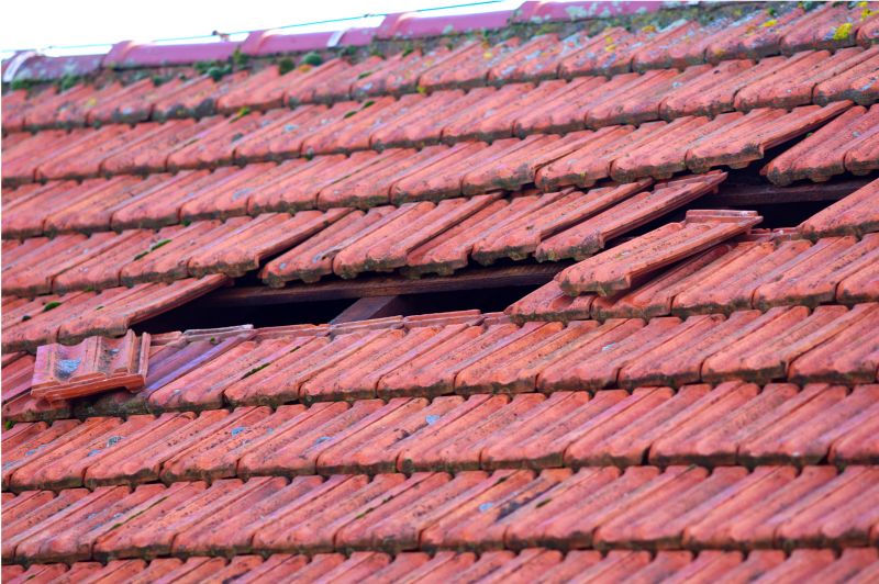Roof Damage Inspection in Broomfield, CO