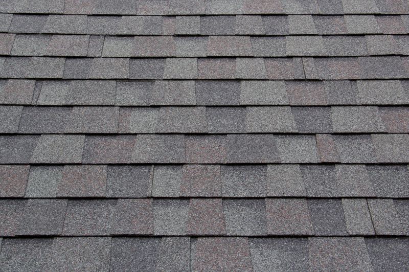 Roof Installation in Nederland, CO