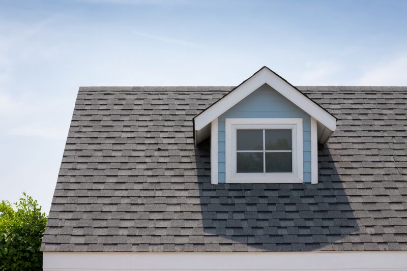 Roof Patching Service in Lafayette, CO
