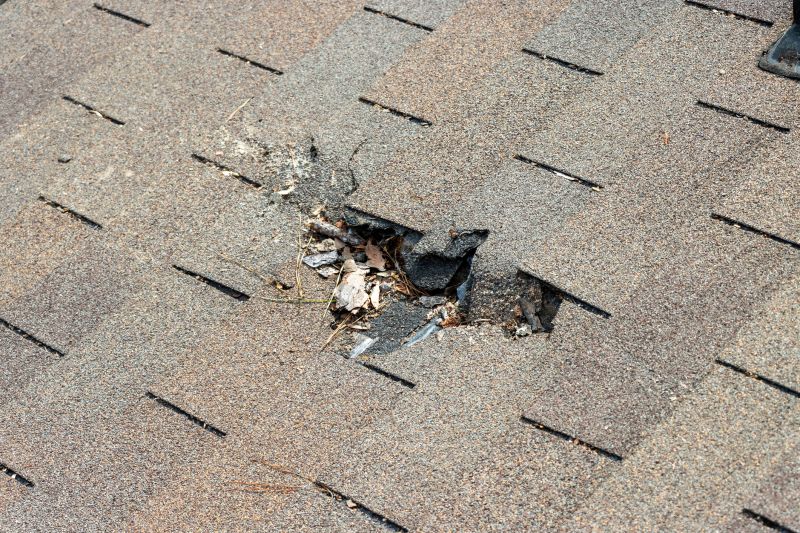 Roof Shingles Replacement in Lafayette, CO
