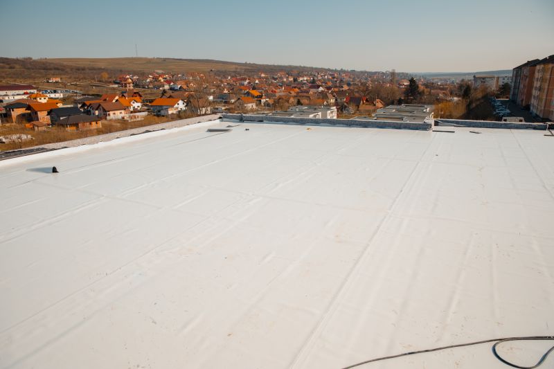 Rubber Roof Repair in Boulder County, CO