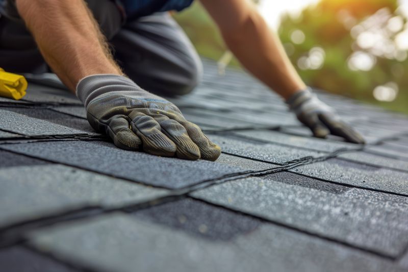 Shingles Repair in Erie, CO