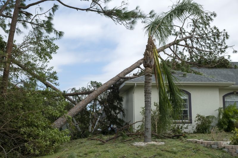 Storm Damage Roof Repair in Nederland, CO